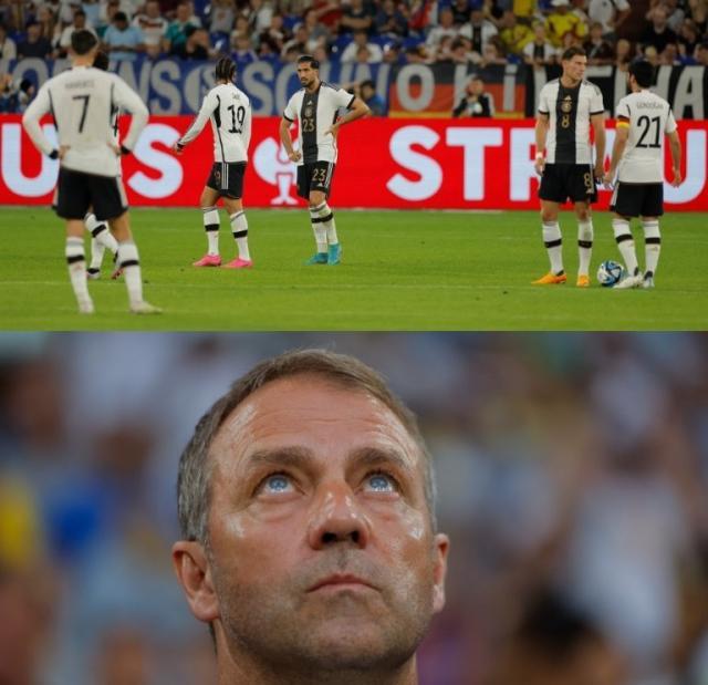 1687311153528099345.jpg FzGBj6QWwAMCMAr.jpg